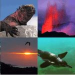 Bằng cách nào quần đảo Galapagos thay đổi thế giới?