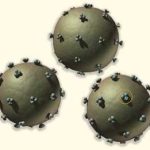 Cảnh báo xuất hiện chủng HIV mới