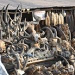 Chợ phép thuật bùa chú ở Châu Phi