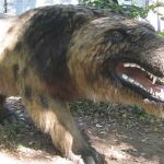 Andrewsarchus: Một trong những loài thú ăn thịt đáng sợ nhất từng tồn tại