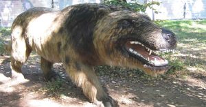 Andrewsarchus: Một trong những loài thú ăn thịt đáng sợ nhất từng tồn tại