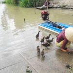 Hà Lan-Việt Nam triển khai chương trình khai thác nước bền vững