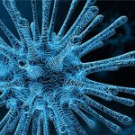 Một virus khỉ khác đang sẵn sàng lây sang người