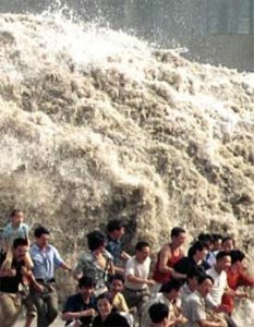 VN: Cảnh báo động đất, sóng thần bằng hệ thống trực canh