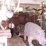 Ra mắt Bảo tàng Thiên nhiên Việt Nam