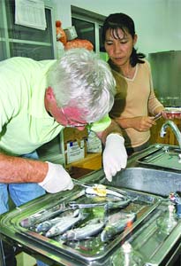 Nghiên cứu vắcxin tăng trưởng cho cá da trơn