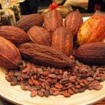 Cacao tốt cho bệnh nhân huyết áp cao