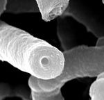 NASA dùng carbon nano tube của VN làm vỏ phi thuyền