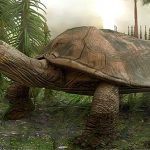 Phát hiện loài rùa khổng lồ, chén thịt được cả cá sấu