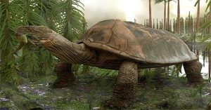 Phát hiện loài rùa khổng lồ, chén thịt được cả cá sấu