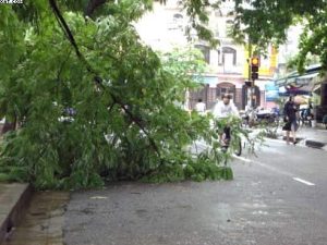 Tây Nguyên: Mưa lũ lớn, 20 người chết, mất tích