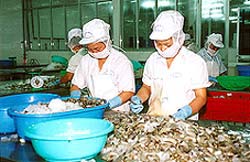 Ứng dụng công nghệ sinh học trong ngành chế biến