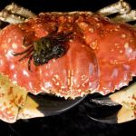 Một loài cua khổng lồ vừa được tìm thấy