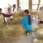 Dự án bảo tồn cỏ bàng nhận giải thưởng quốc tế