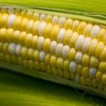 Ngô, bí đỏ… giúp tăng cường thị lực cho người cao tuổi