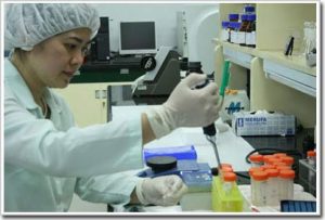Năm 2009 sẽ có vắc-xin H5N1 “made in Việt Nam”