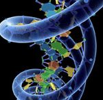 Tổng hợp thành công phân tử DNA nhân tạo đầu tiên trên thế giới