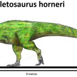 Khủng long bạo chúa Tyrannosaurus dựa vào giác quan thứ sáu để “yêu”?