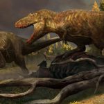 Hóa thạch 76,5 triệu năm tiết lộ tổ tiên của khủng long T-rex