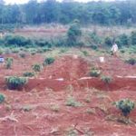 Giữ gìn cân bằng sinh thái trong đất