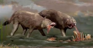 Giới nghiên cứu đã nhầm, Dire Wolves hoàn toàn không phải là sói