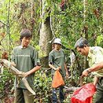 TP.HCM: Thả 43 động vật quý về rừng