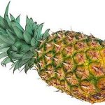 Thụ phấn trợ lực cho dừa sáp ở Trà Vinh