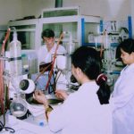 Dứa làm thực phẩm chữa bệnh