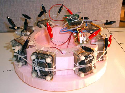 Robot ăn sinh vật sống