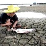 El Nino sắp xuất hiện