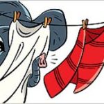 Bạn có tin: Voi có thể đánh hơi được ở khoảng cách hàng dặm?
