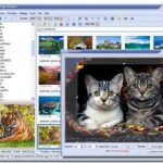 FastStone Image Viewer 2.6: Chương trình xem ảnh đa năng