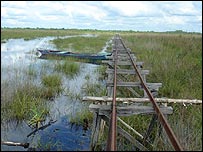 Khi lá phổi ngập khói