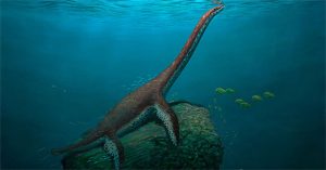 “Quái vật hồ Loch Ness” hoàn toàn mới lộ diện ở Đức