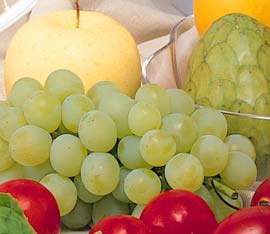 TP.HCM: Gia tăng các bệnh ung thư phổi, đại-trực tràng và vú