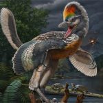 Phát hiện “thần điểu” giống khủng long bạo chúa T-rex