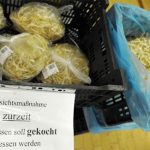 Tìm thấy khuẩn E.coli chết người trên giá đỗ