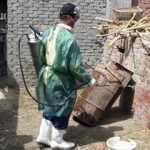 EU chi 28,3 triệu euro cho nghiên cứu cúm gia cầm