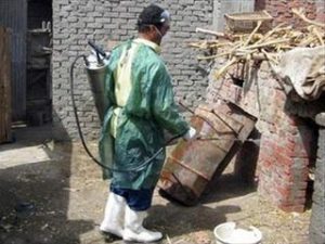 EU chi 28,3 triệu euro cho nghiên cứu cúm gia cầm