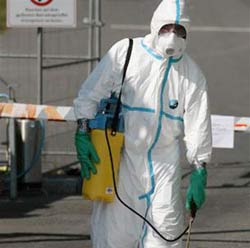 H5N1 tái phát ở Đức