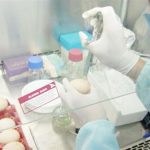 Sản xuất thành công văcxin H5N1