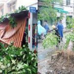 TP.HCM: Mưa lốc, đổ cây, ngập đường, cháy thiết bị điện