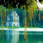 Thí nghiệm hút tách bùn hồ Gươm
