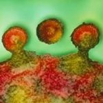 Phương thức tìm diệt tế bào nhiễm HIV bằng kháng thể đánh dấu phóng xạ