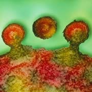 Phương thức tìm diệt tế bào nhiễm HIV bằng kháng thể đánh dấu phóng xạ