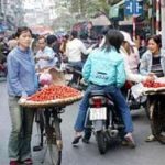 Mùa hè giữa mùa đông