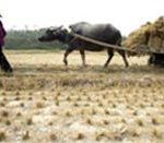 “Thế giới sẽ bốc hỏa”