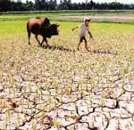 El-Nino sẽ diễn ra trầm trọng hơn