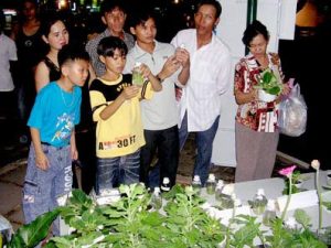 Cách trồng và chăm sóc giống hoa chuông mới