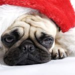 Holiday blue: Trầm cảm ngày lễ là một hiện tượng có thật và khoa học nói gì?